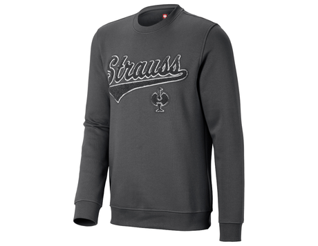 https://cdn.strauss.com/at/assets/sdexporter/images/DetailPageShopify/product/2.Release.3107790/Sweatshirt_e_s_e_pic-313614-0-638884404210973558.png