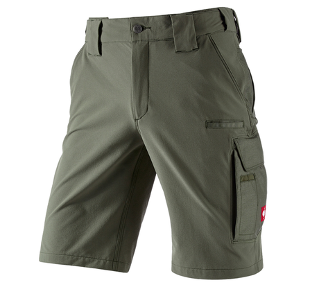 https://cdn.strauss.com/at/assets/sdexporter/images/DetailPageShopify/product/2.Release.3161250/Funktions_Short_e_s_dynashield_solid-152488-1-637709952893024574.png