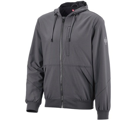 Primary image Hooded jacket e.s.iconic carbongrey