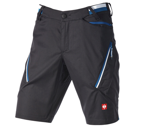 Primary image Multipocket shorts e.s.ambition graphite/gentianblue