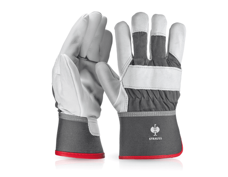 https://cdn.strauss.com/at/assets/sdexporter/images/DetailPageShopify/product/2.Release.2000420/Narbenleder-Handschuhe_Platinum-7896-7-638715153408669405.png