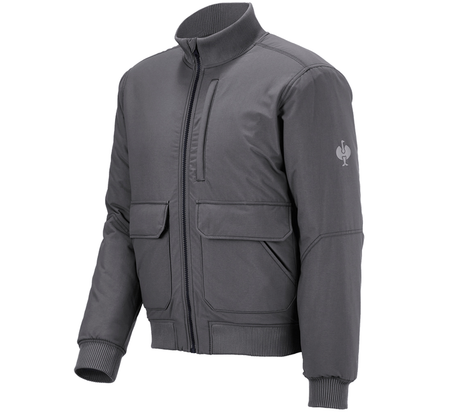 https://cdn.strauss.com/at/assets/sdexporter/images/DetailPageShopify/product/2.Release.3134630/Pilotenjacke_e_s_iconic-272412-1-638265685011653995.png