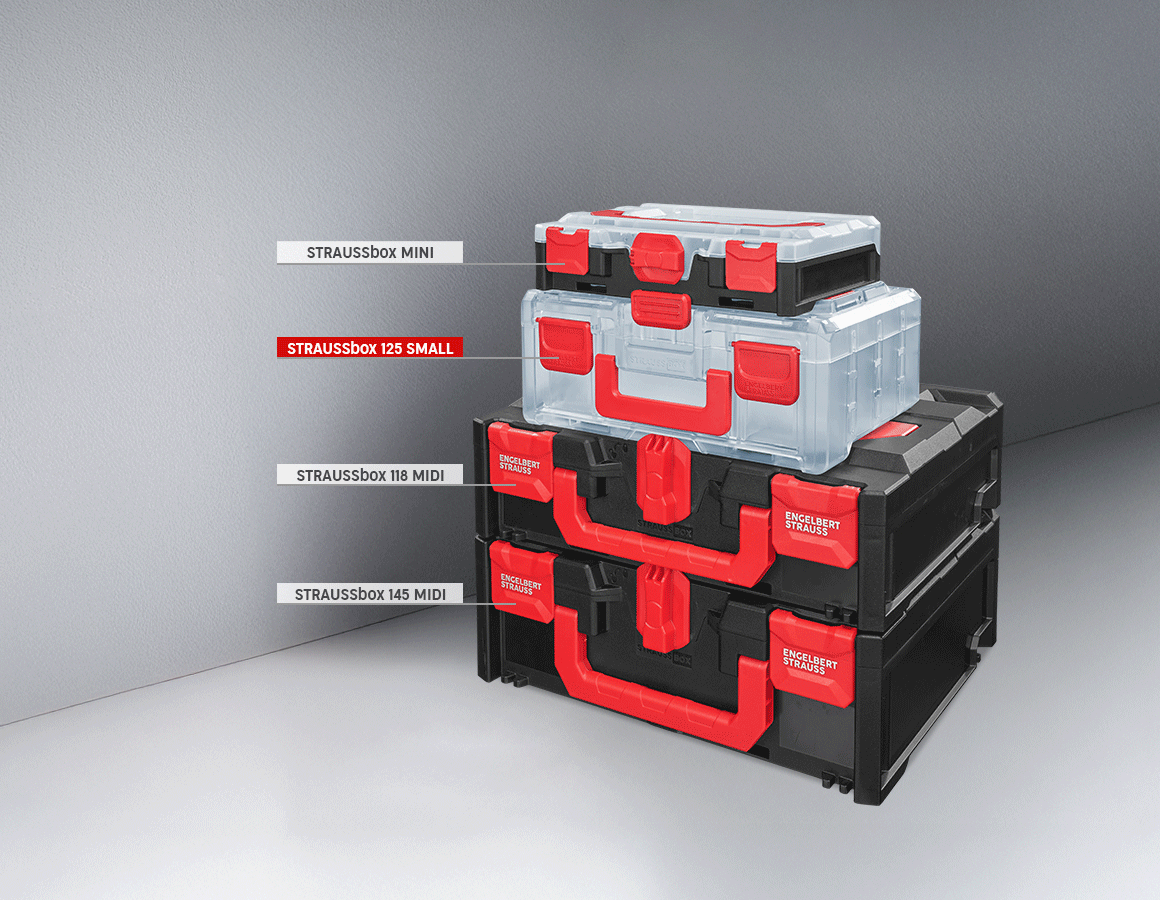 Additional image 4 STRAUSSbox 125 small incl. separating bridges transparent