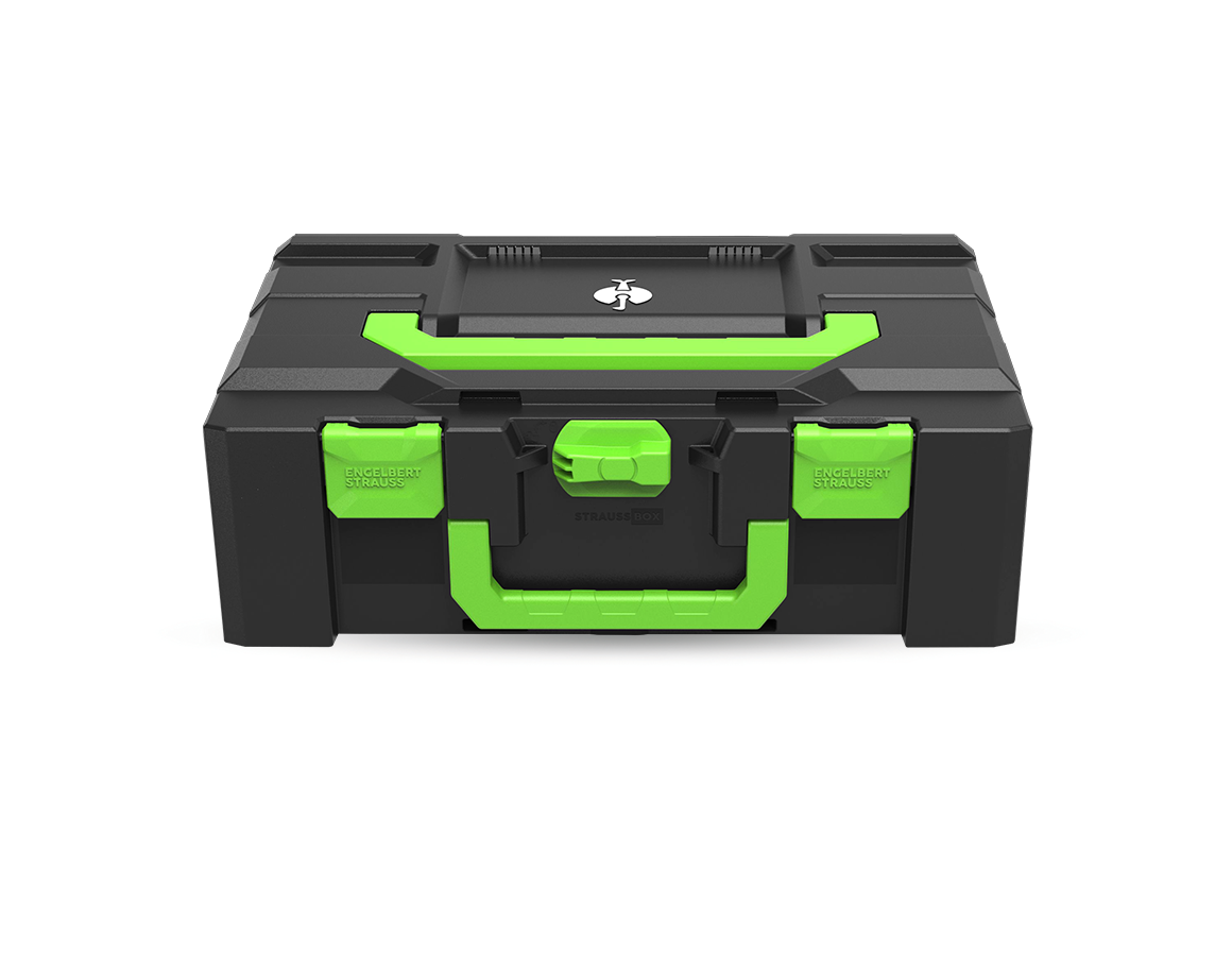 Primary image STRAUSSbox 165 large Color seagreen