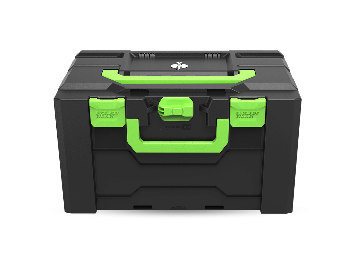 Primary image STRAUSSbox 280 large Color seagreen