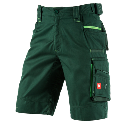 Primary image Shorts e.s.motion 2020 green/seagreen