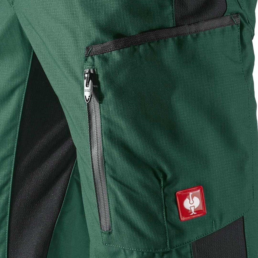 Detailed image Shorts e.s.vision, men's green/black