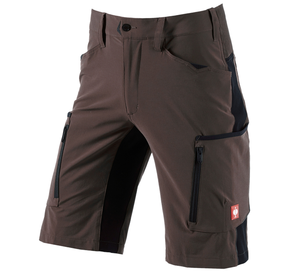 Primary image Shorts e.s.vision stretch, men's chestnut/black