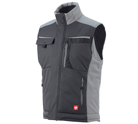 Primary image Softshell bodywarmer e.s.motion graphite/cement