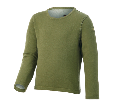 https://cdn.strauss.com/at/assets/sdexporter/images/DetailPageShopify/product/2.Release.3121660/Strickpullover_e_s_iconic_Kinder-286782-0-638556706982152116.png