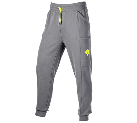 https://cdn.strauss.com/at/assets/sdexporter/images/DetailPageShopify/product/2.Release.3163830/Sweat_Pants_light_e_s_trail-280333-0-638439448194578539.png