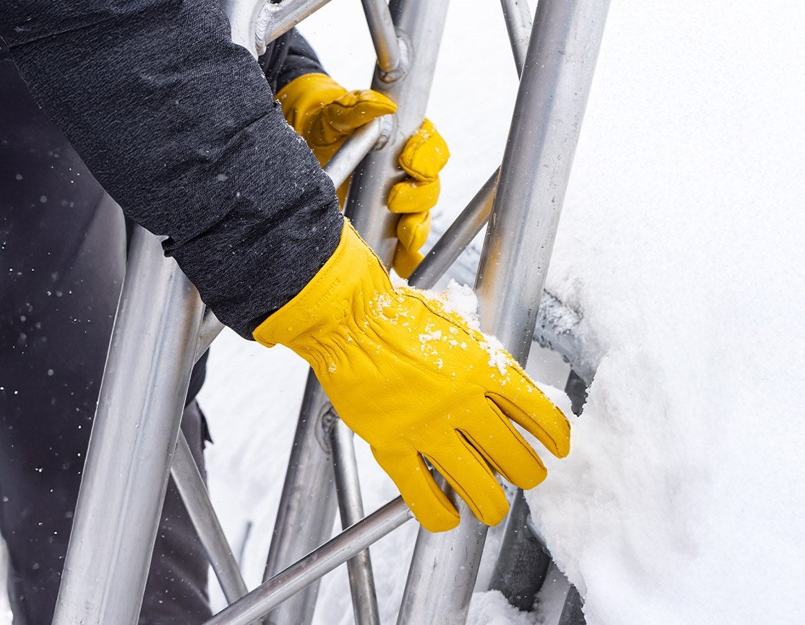 Main action image Full leather winter gloves Yellowstone 10