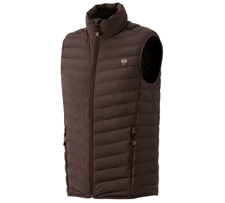 Primary image Bodywarmer e.s.motion ten chestnut